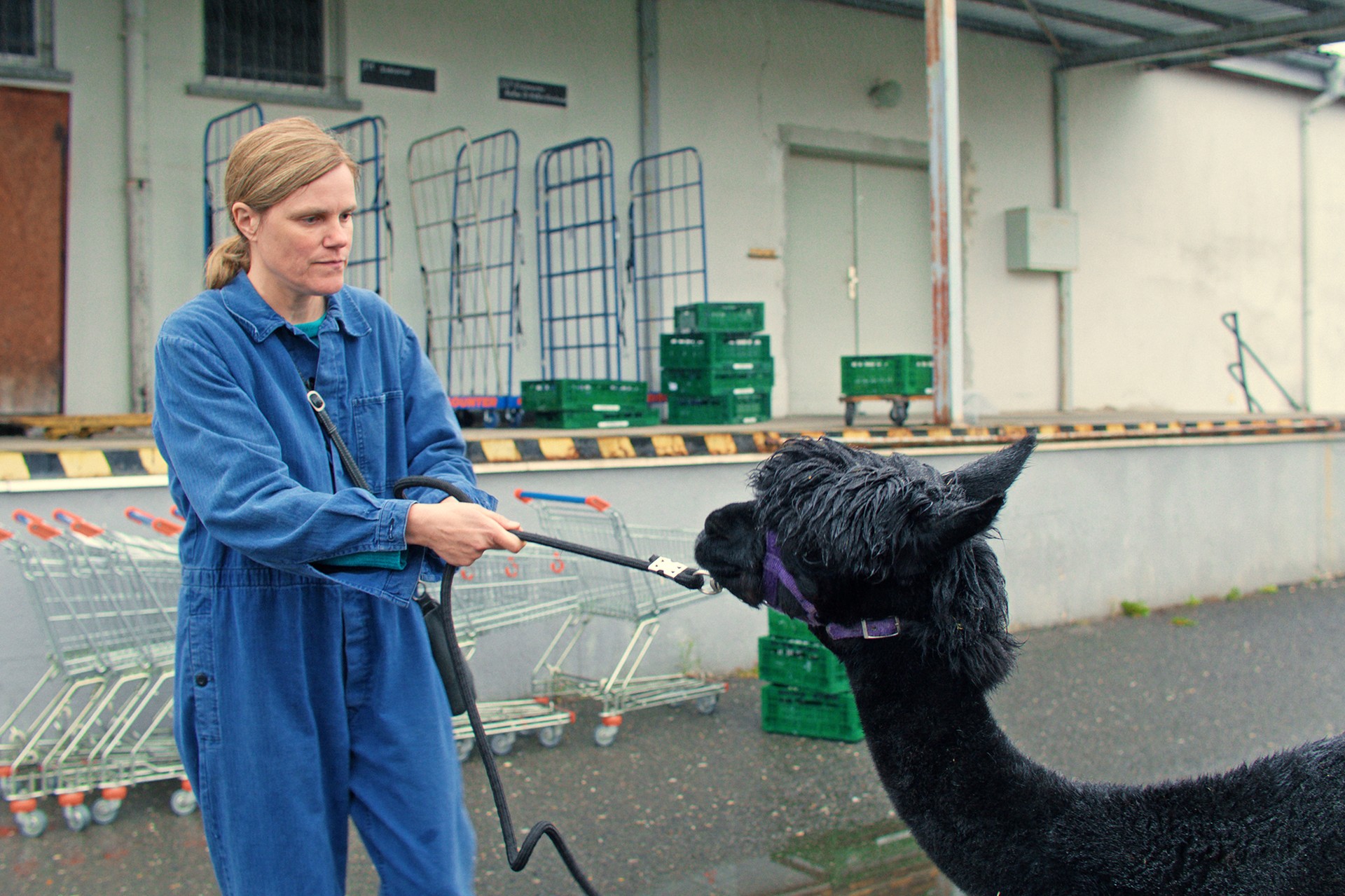 Bilder aus Wilma will mehr