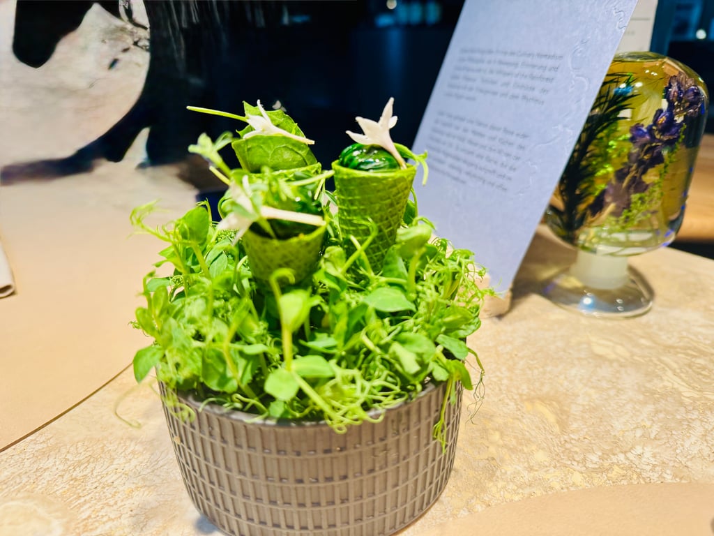 Green herb plants in small green pots arranged in a woven basket on a beige countertop, with a decorative vase and a pale card in the background.