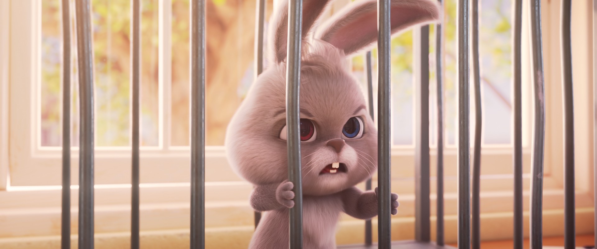 Bilder aus Der schlaue Hase Momo: Die große Verfolgung