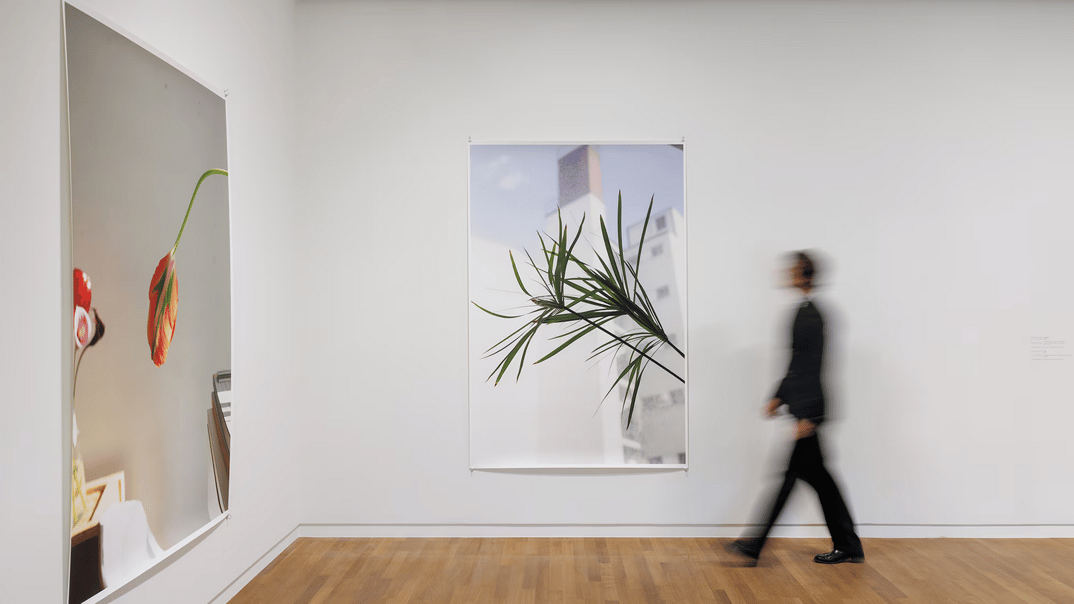 Wolfgang Tillmans – Passages Si...