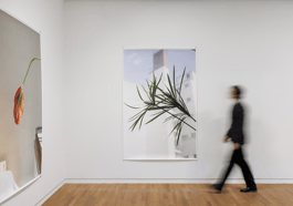 Wolfgang Tillmans – Passages Silencieux