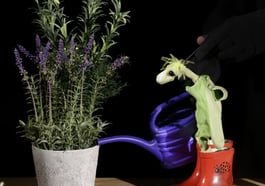 Figurentheater: Der Kleine Koriander