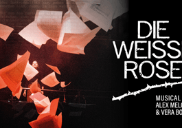 Die Weiße Rose