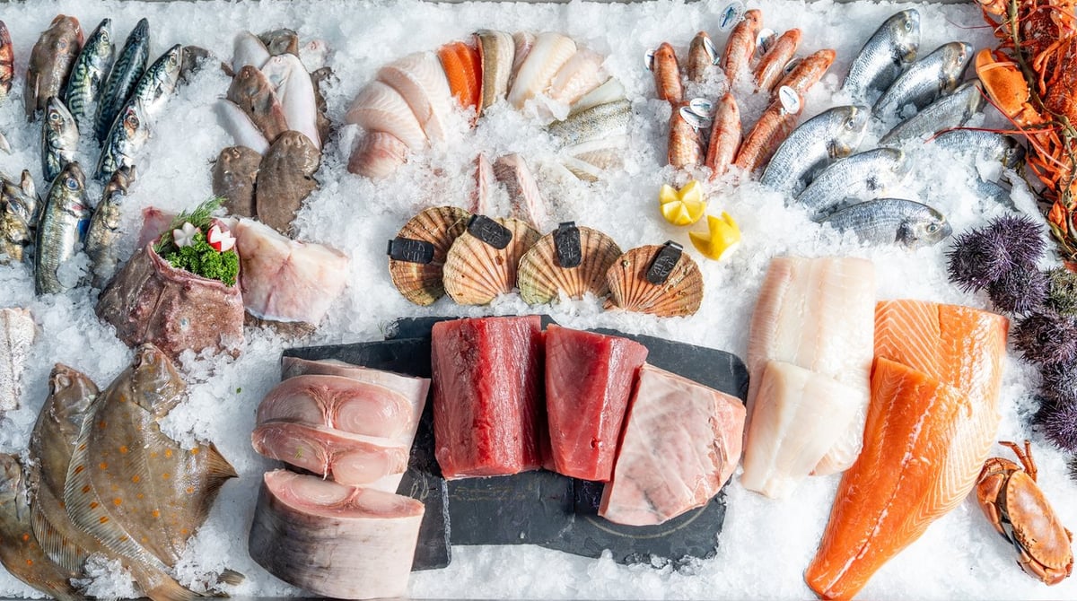 Auslage mit ganzen Fischen, Thunfisch- und Lachsfilets, Jakobsmuscheln und Garnelen auf Eis