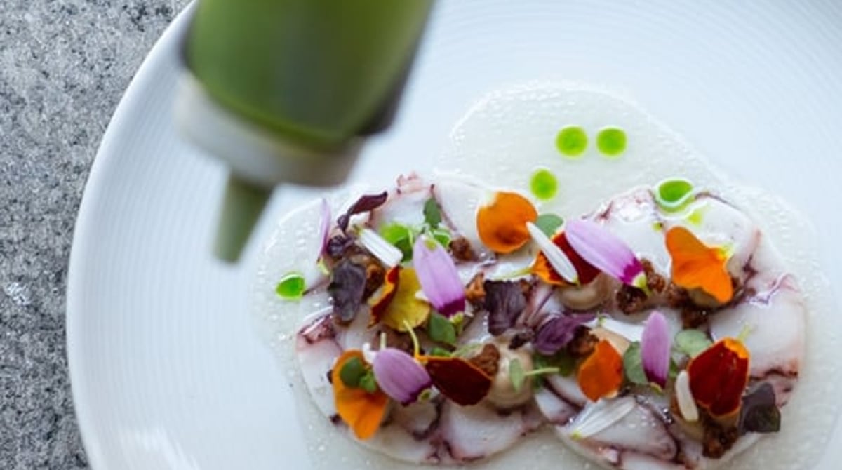 Fischcarpaccio mit essbaren Blüten, das von oben mit grünem Öl beträufelt wird