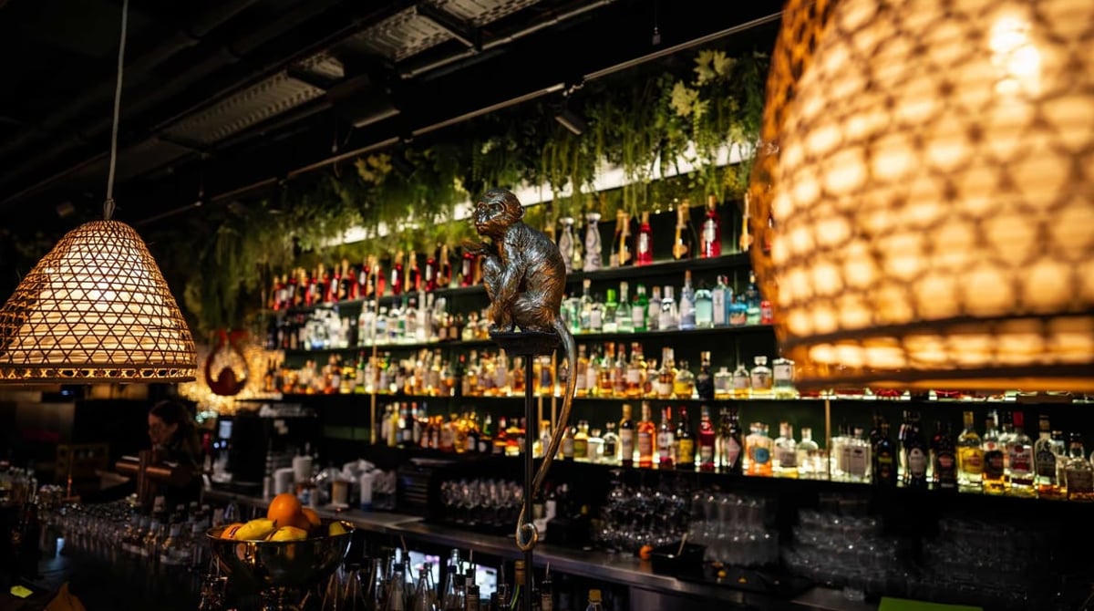 Bar mit Regalwand voller Flaschen, Korbleuchte und Pflanzen darüber