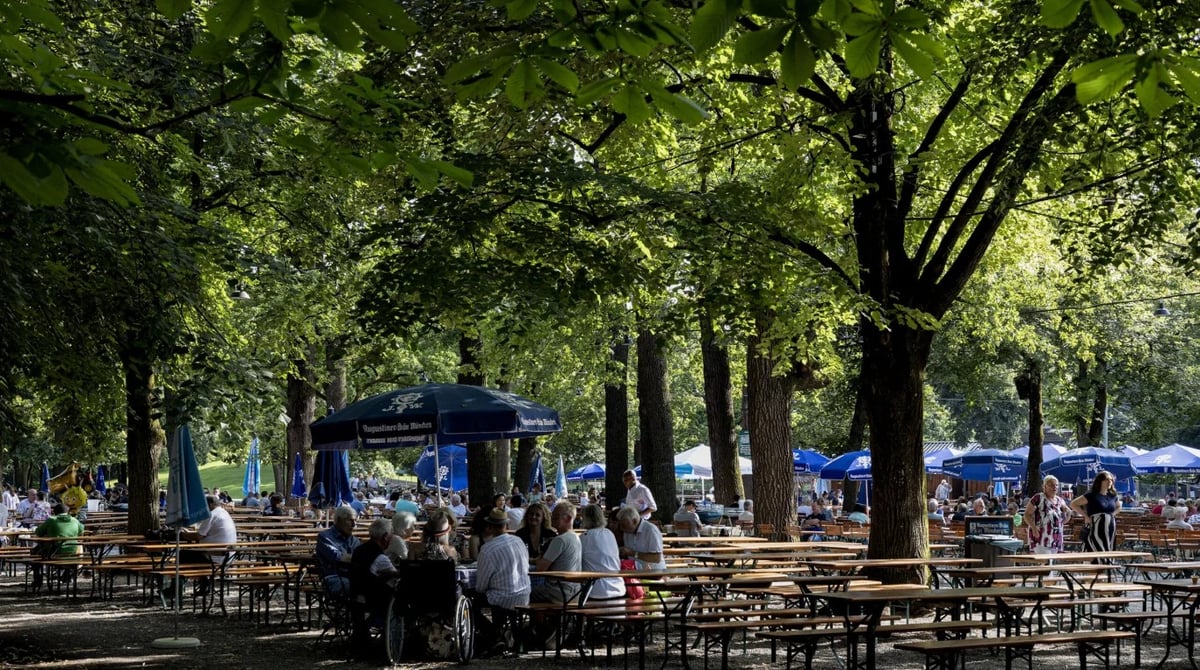 Besetzte Biergartentische unter hohen Bäumen im Biergarten des Königlichen Hirschgartens