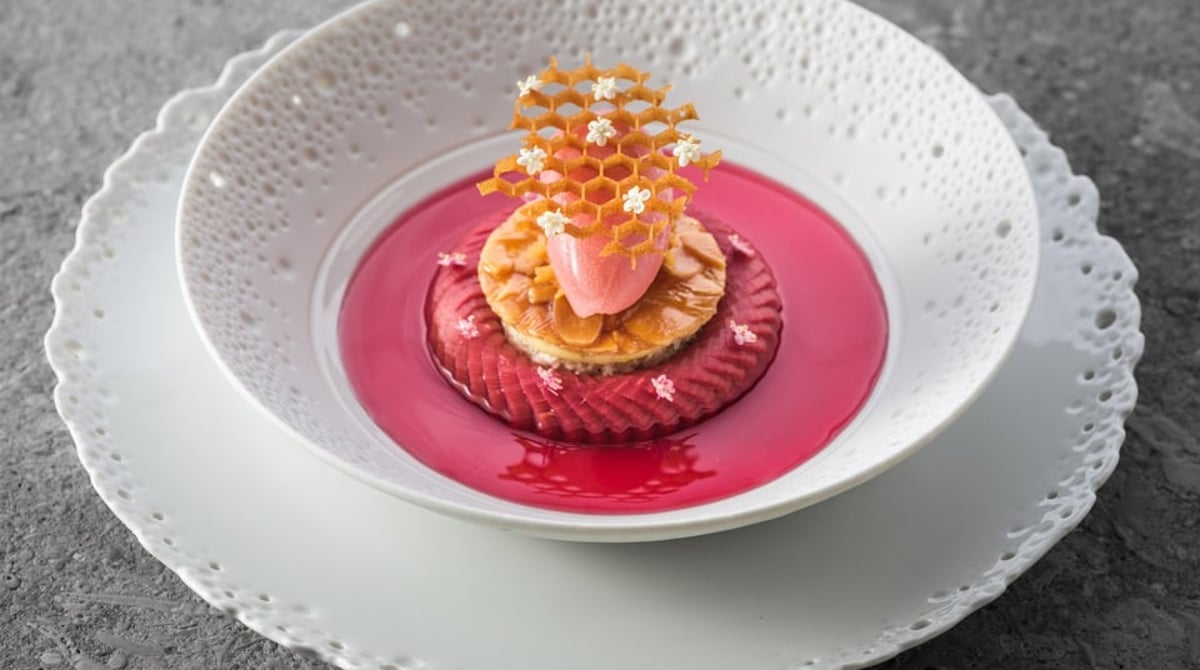 Dessert in einer weißen Schale mit rotem Fond und Wabenkrokant auf grauem Stein
