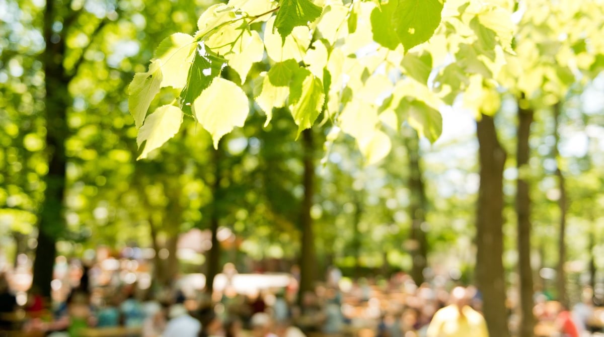 Sonnenlicht fällt durch das junge Laub der Kastanien, darunter sitzen unscharf viele Gäste im Biergarten