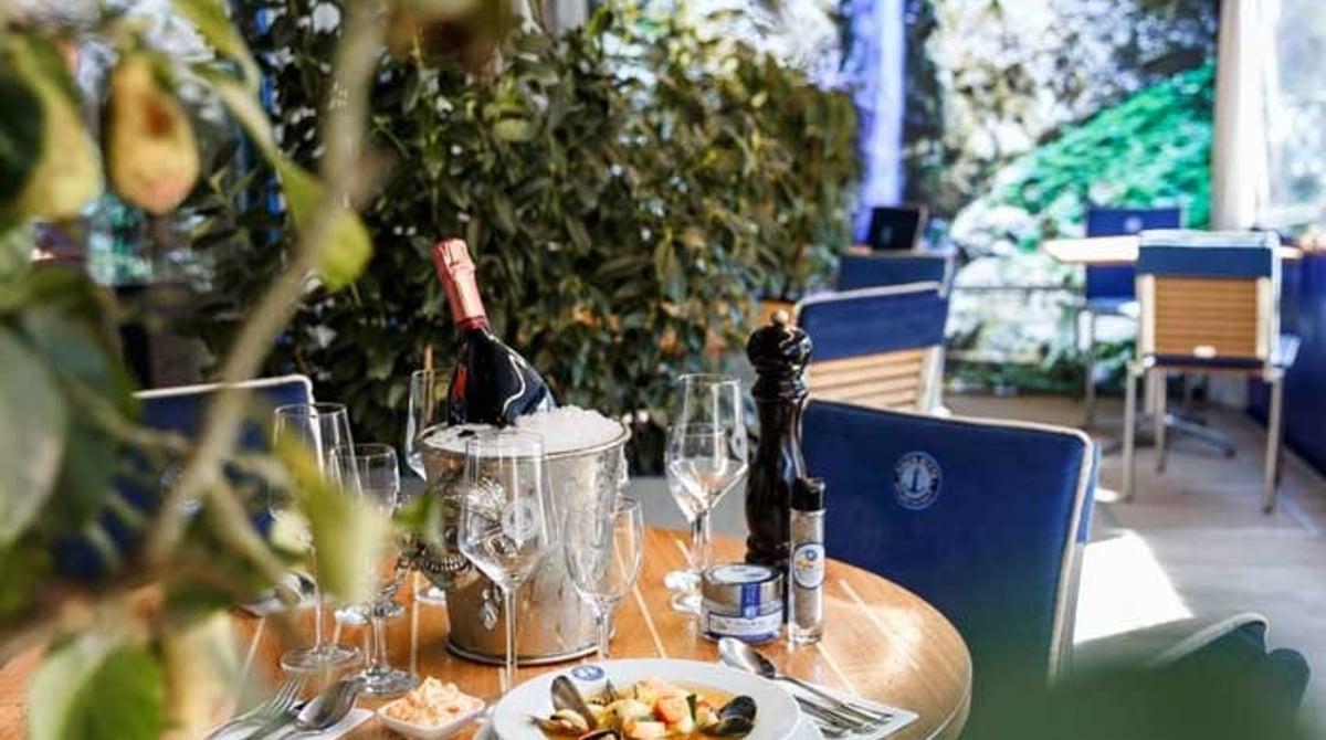 Gedeckter Bistrotisch zwischen Pflanzen, dahinter weitere Sitzplätze