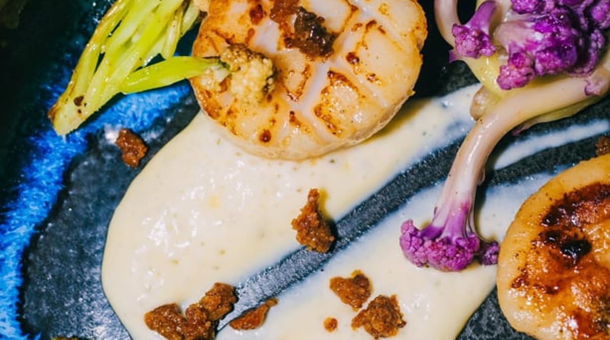 Gebratene Jakobsmuscheln mit Blumenkohl, Crumble und heller Sauce auf blauem Teller