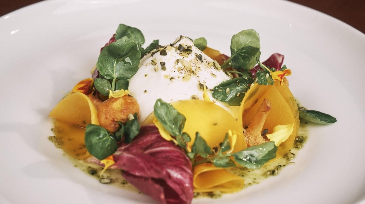 Burrata mit Pfifferlingen, Kürbis und Kräutern auf einem weißen Teller