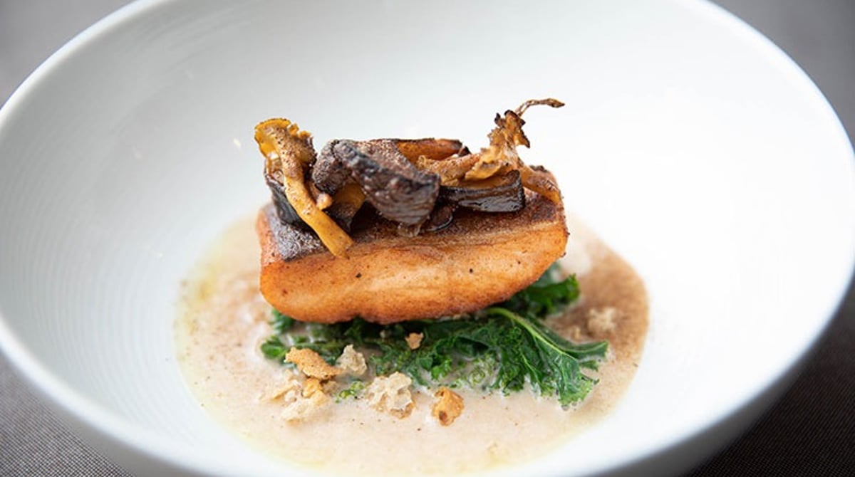 Gebratener Fisch mit Pilzen auf Blattgemüse in heller Sauce in einer weißen Schale