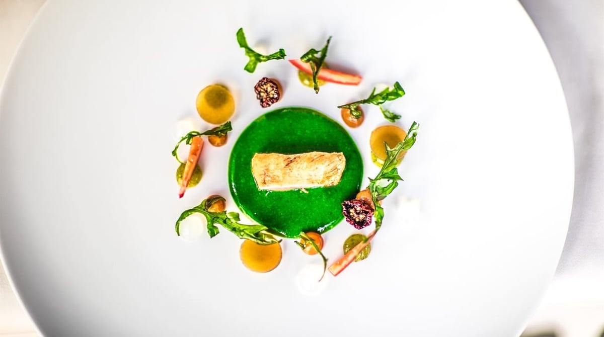 Gericht mit grüner Sauce, Gemüse und Kräutern auf einem weißen Teller