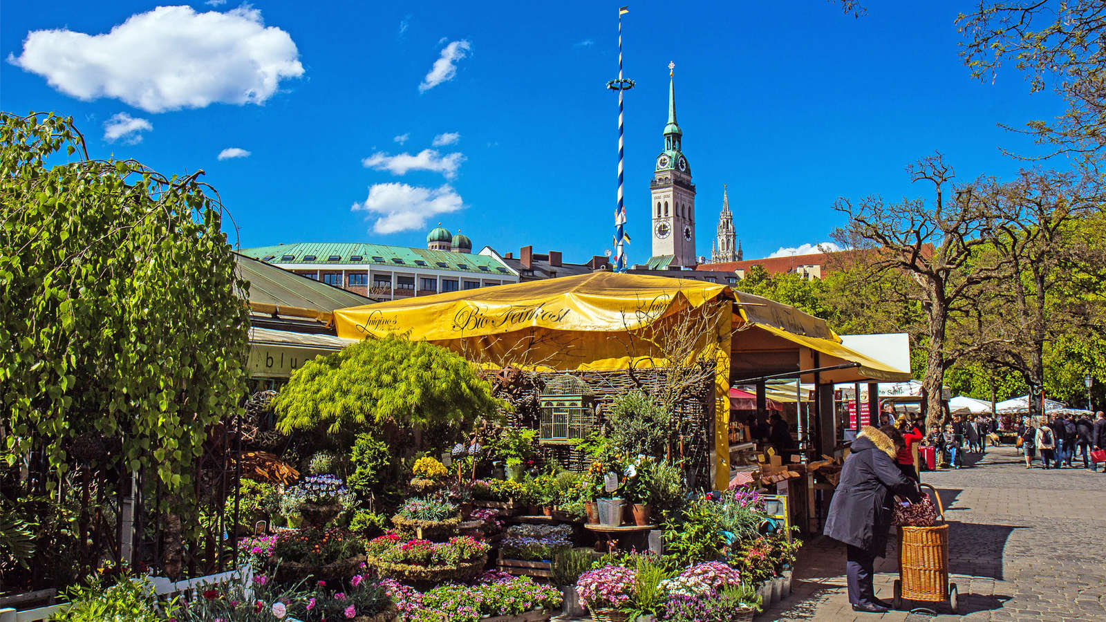 Neue Standl sorgen für frischen Wind: Der Münchner Viktualienmarkt