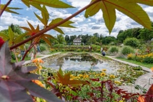 Botanischer Garten München: Kurzurlaub in der Stadt