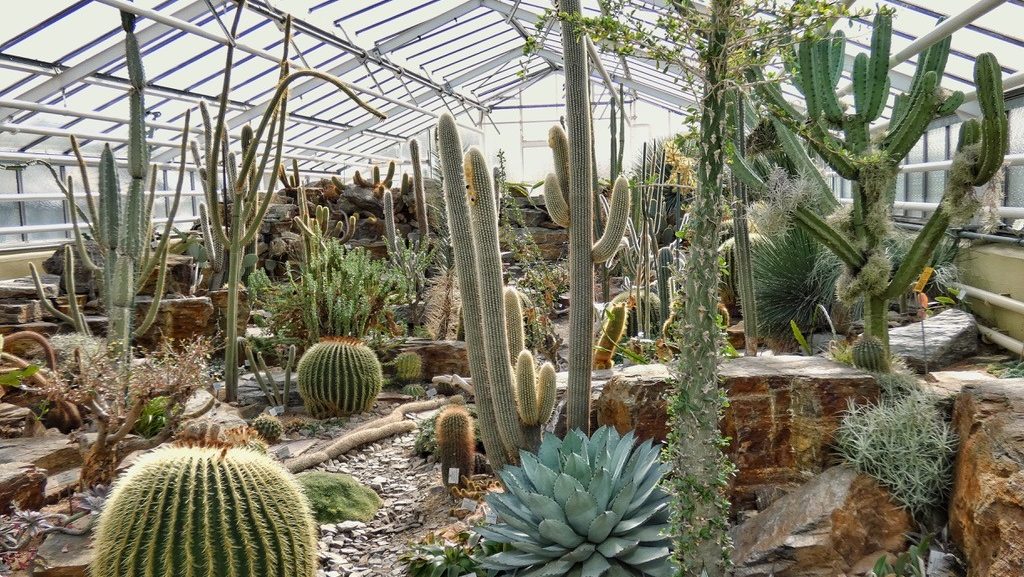 Botanischer Garten München: Gewächshaus, Kakteenhaus
