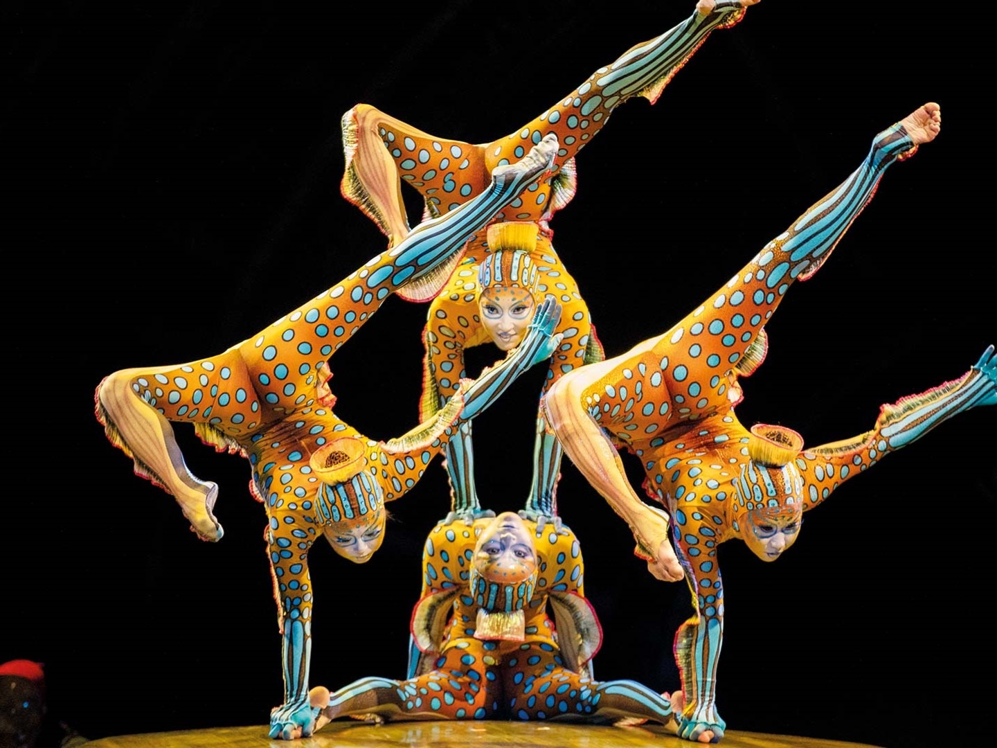 Fesselnde Geschichten, künstlerische Perfektion und emotionale Tiefe: Cirque du Soleil