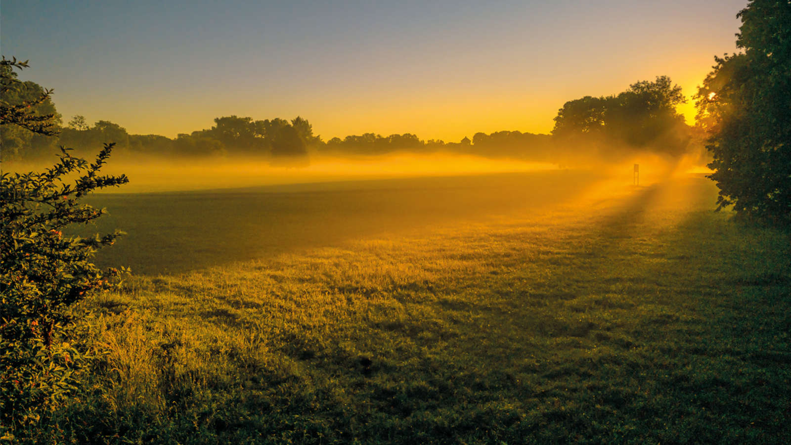 Zwar nicht die Panzerwiese, aber auch dort kann man im Herbst gut spazierengehen.