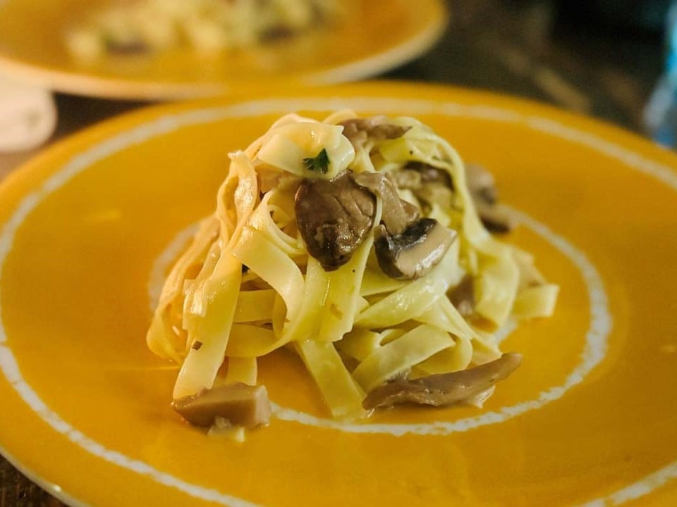 Tagliatelle mit Pilzen