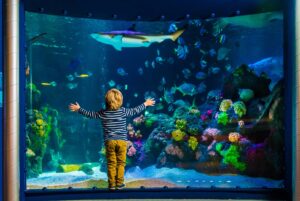 Sea Life: das Erlebnis-Aquarium in München