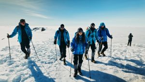 MSC Cinema – exklusive Film-Screenings ab 12.2.