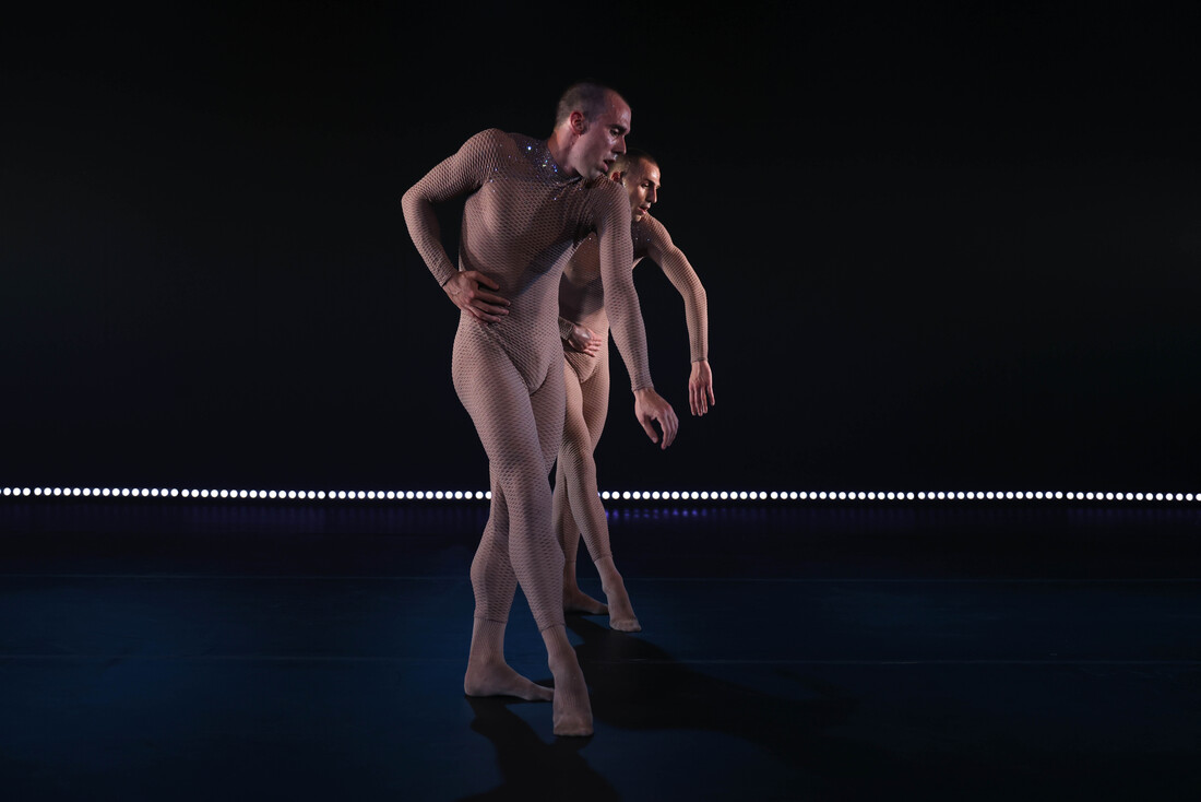 Diego Tortelli & Miria Wurm: Terranova / hidden link