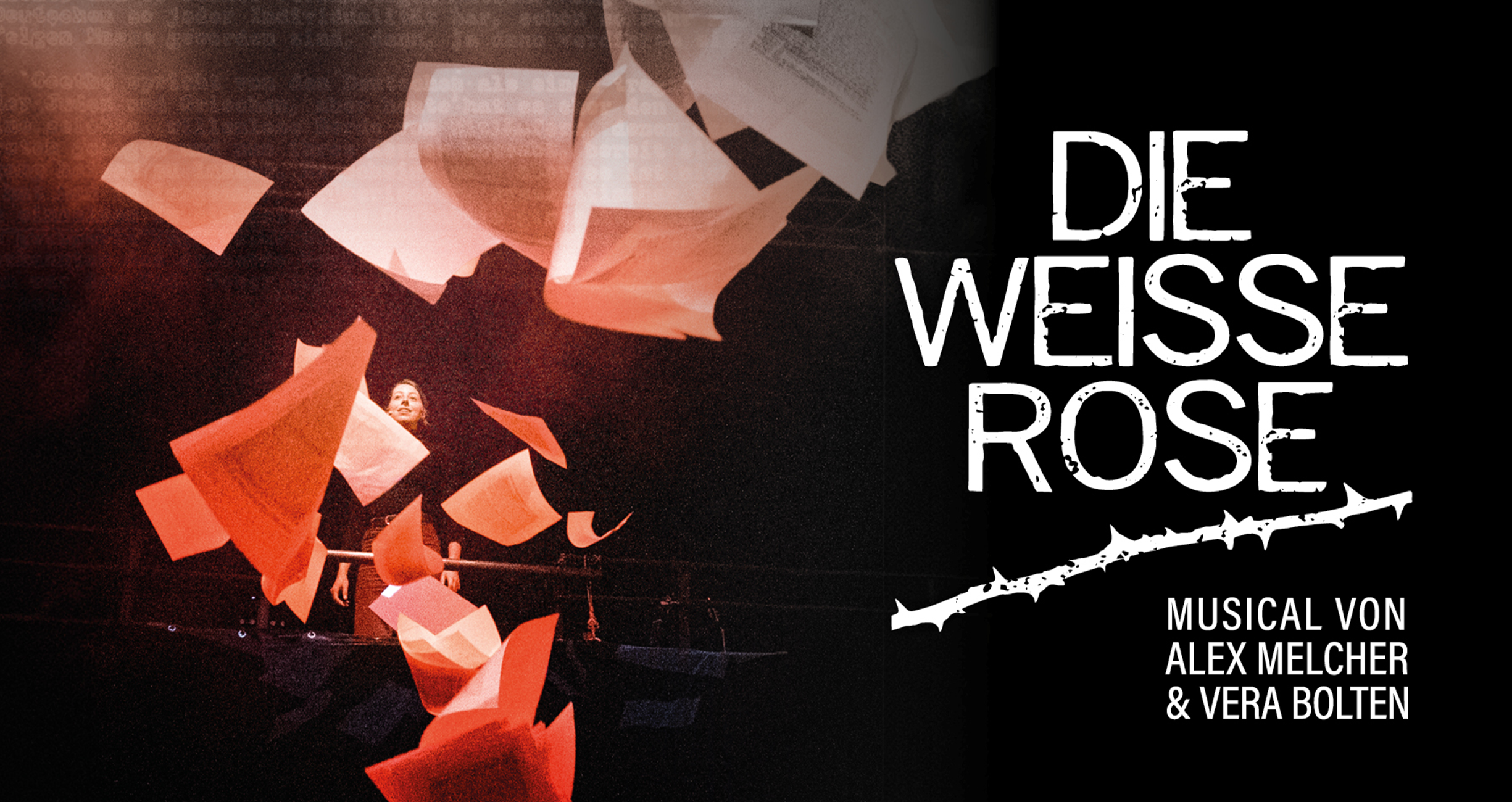 DIE WEISSE ROSE