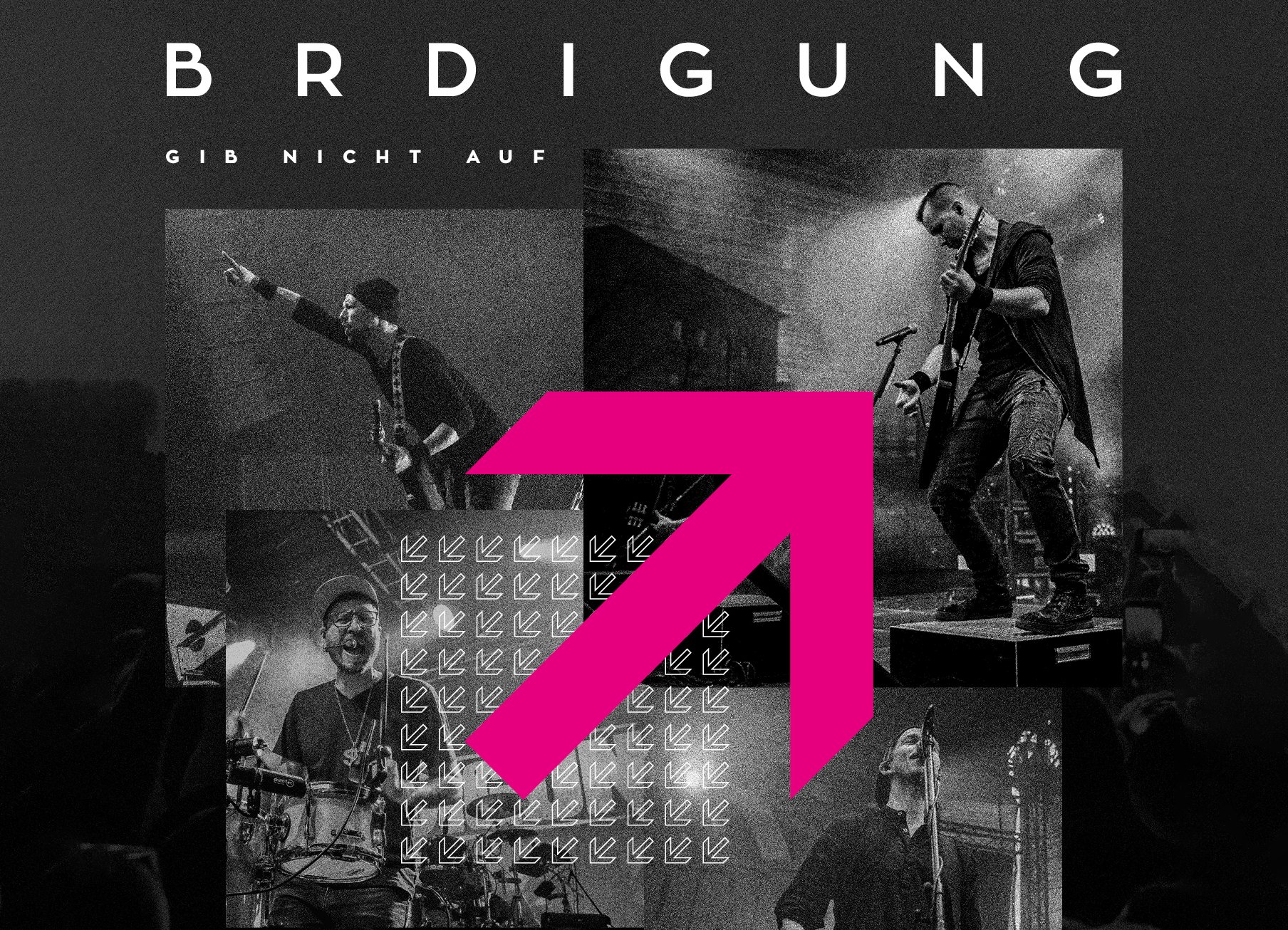 BRDigung