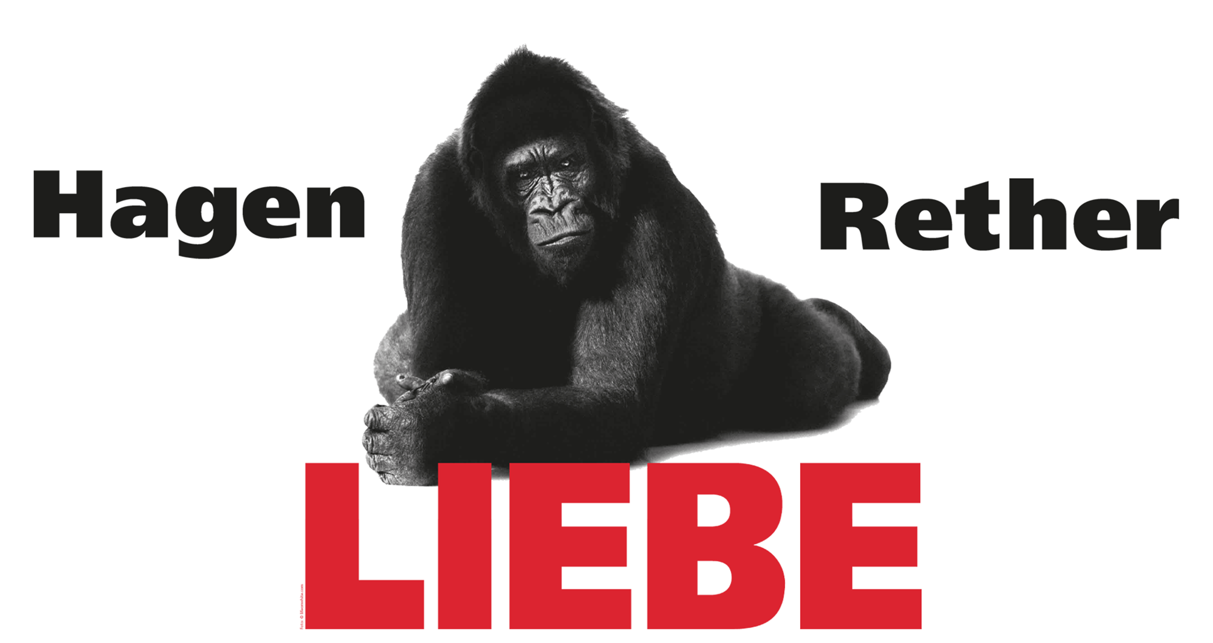 Hagen Rether – Liebe