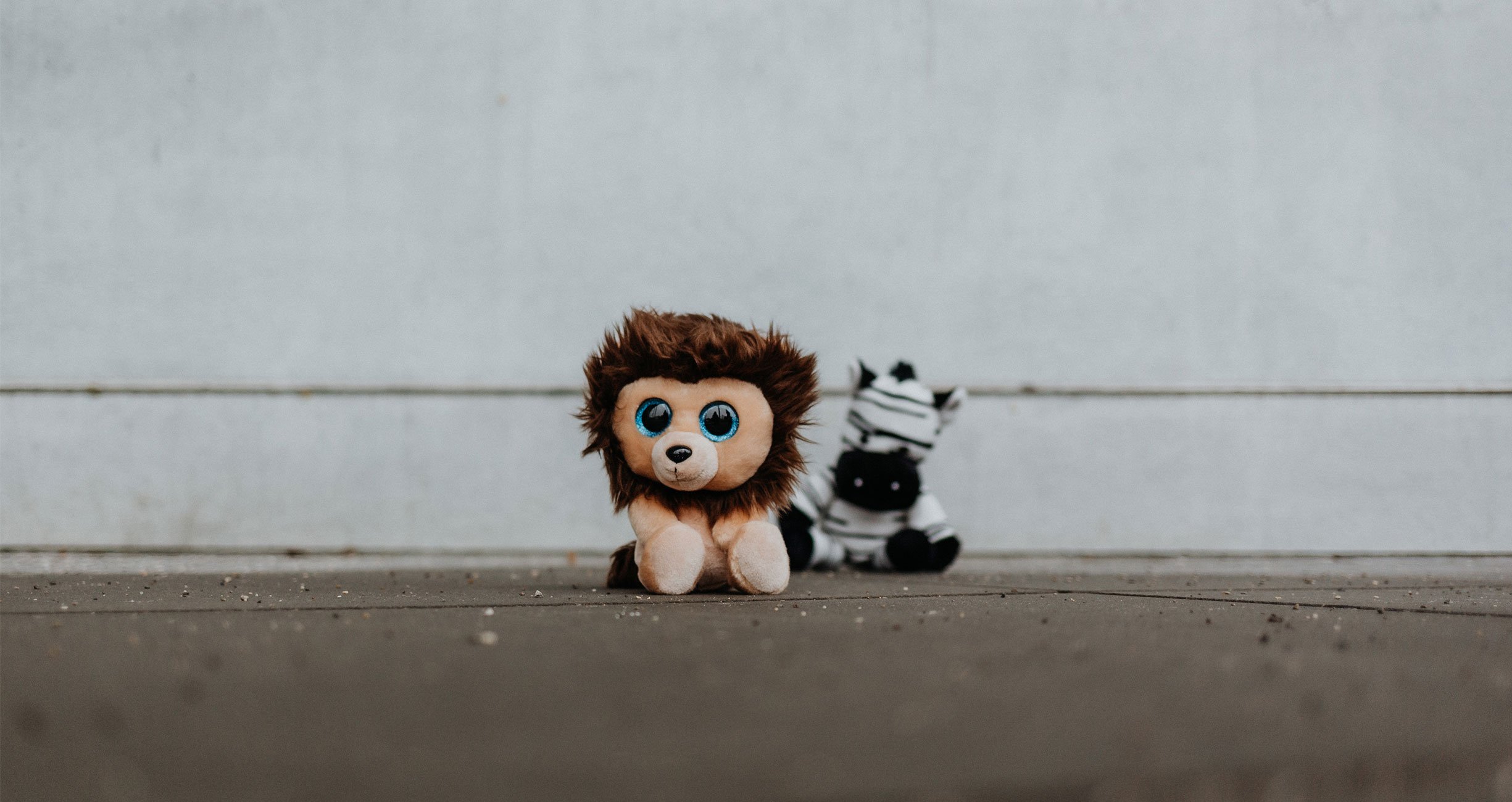 Das Reich der Tiere