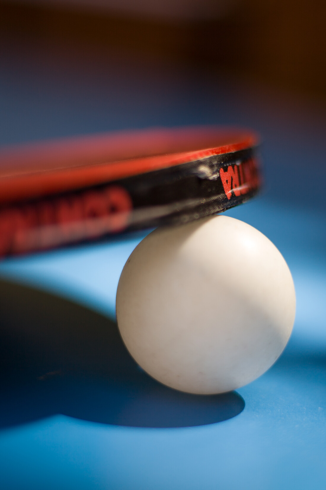 PingPong&Poğaca