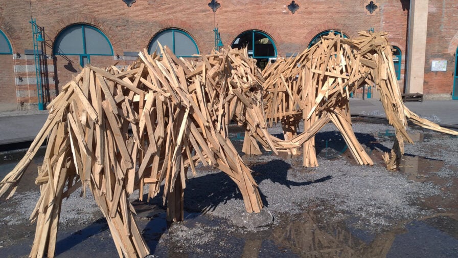 Tollwood: Löwenstark Kunst
