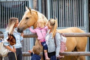 München wiehert: Pferde-Erlebnisse für Kinder in der Stadt & drumherum