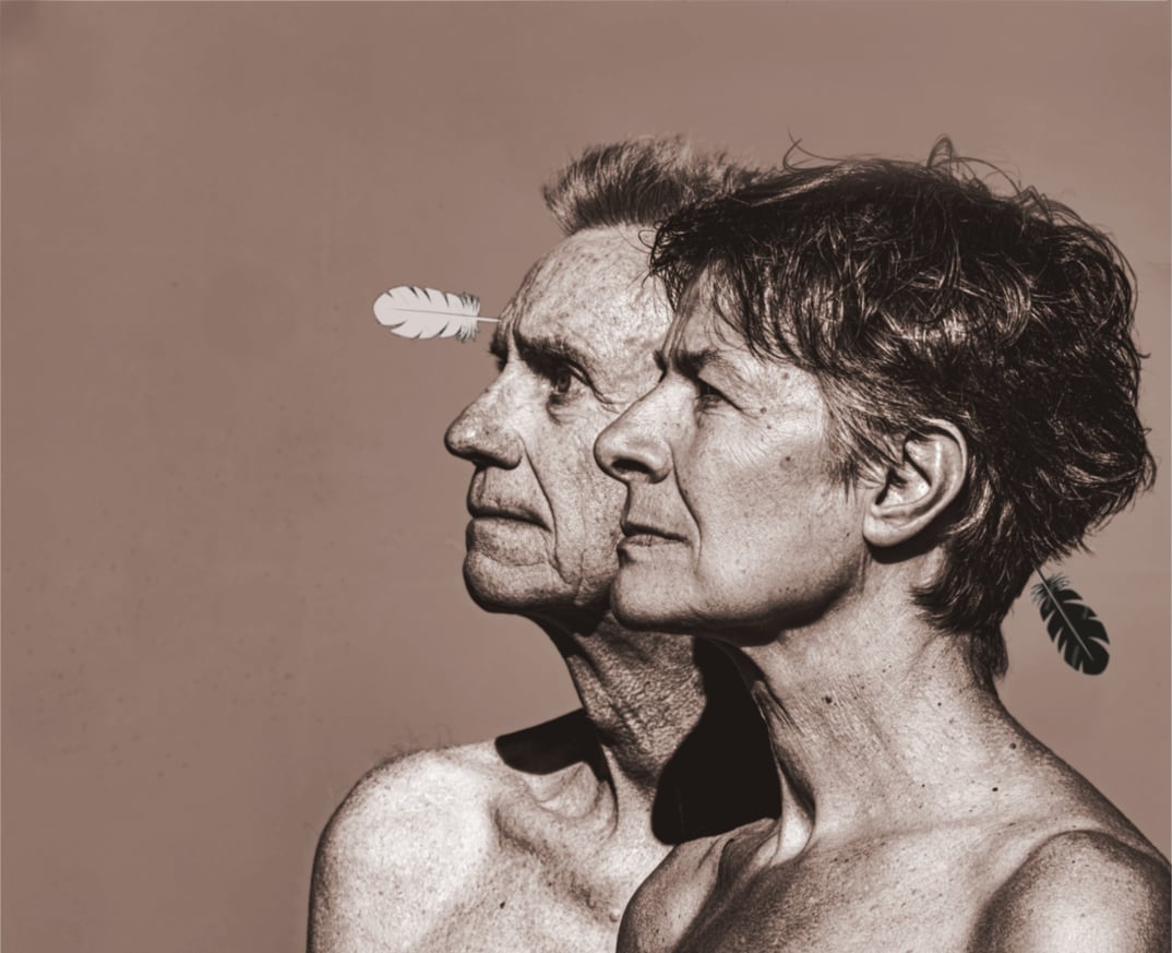 Faltsch-Wagoni – Die letzten Ironesen