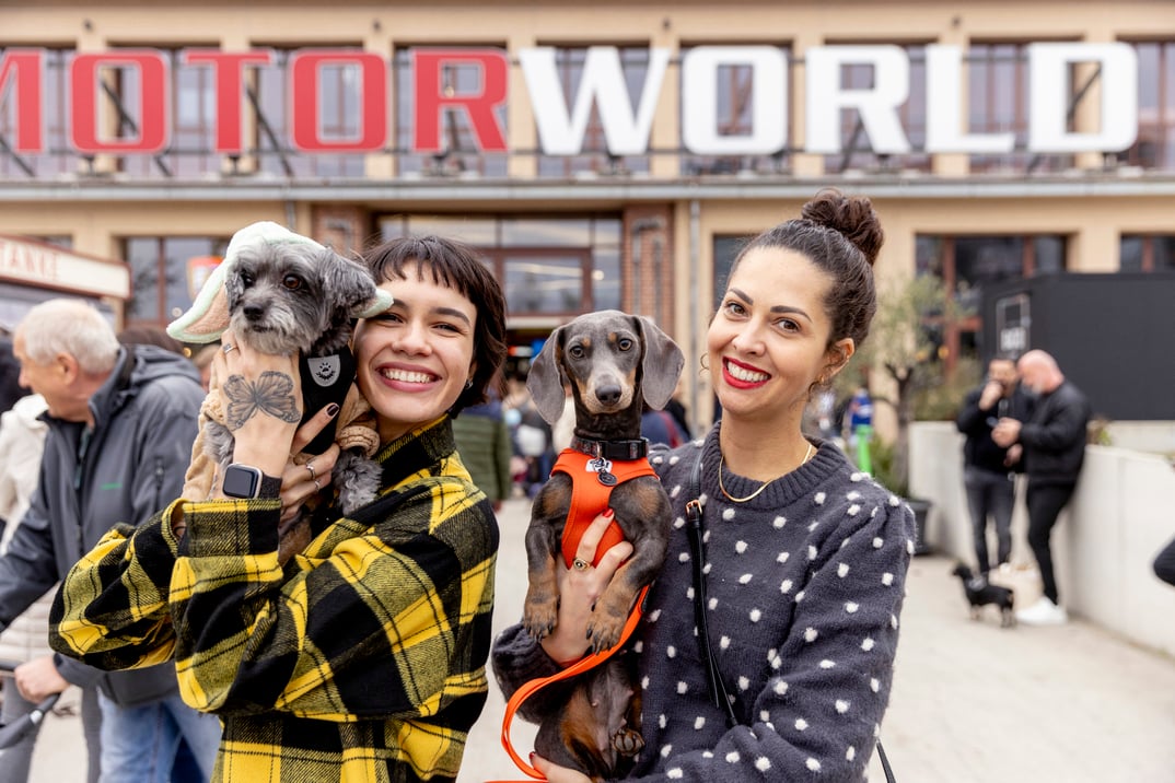 DackelRace & DogWorld 2025