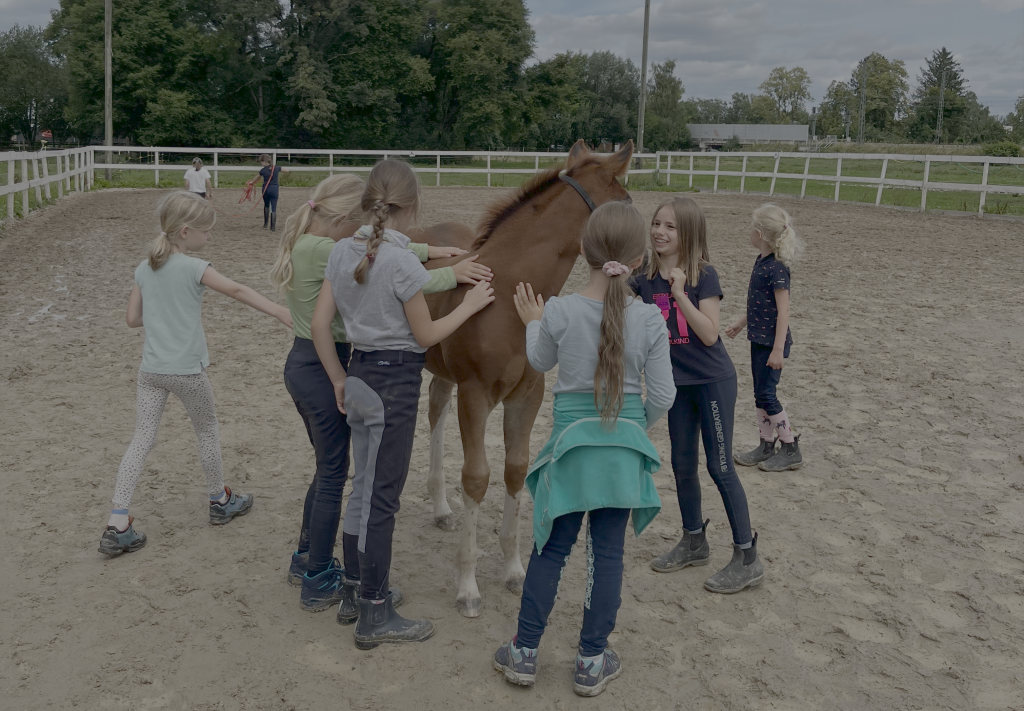 Pink Creek Ranch2 - IN München - Das Stadtmagazin