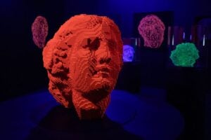 Neue Ausstellungen im September