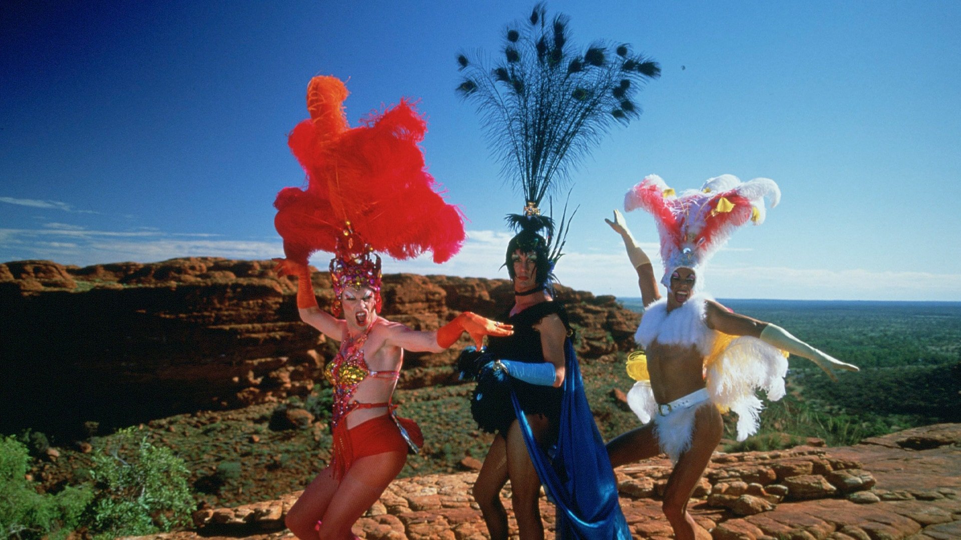 Queer Cinema - Priscilla - Königin der Wüste