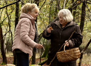 Ticketgutscheine für „Wenn der Herbst naht“ zu gewinnen! – Ab 28.8. im Kino