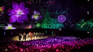 Vivaldis Vier Jahreszeiten am 11.01. im HP8