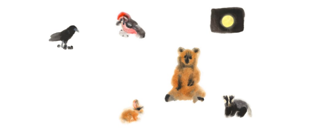 Der Mondbär