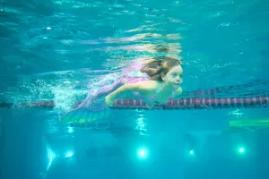Wassersportfestival am 16.11. in der Olympiaschwimmhalle