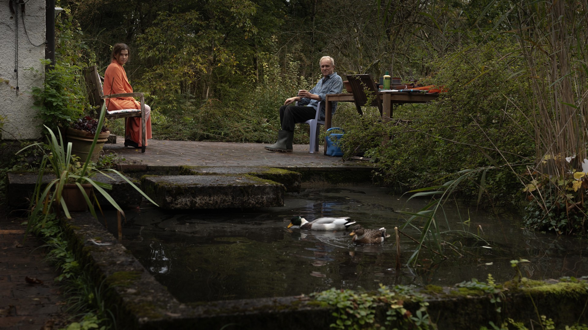 Bilder aus Dann passiert das Leben