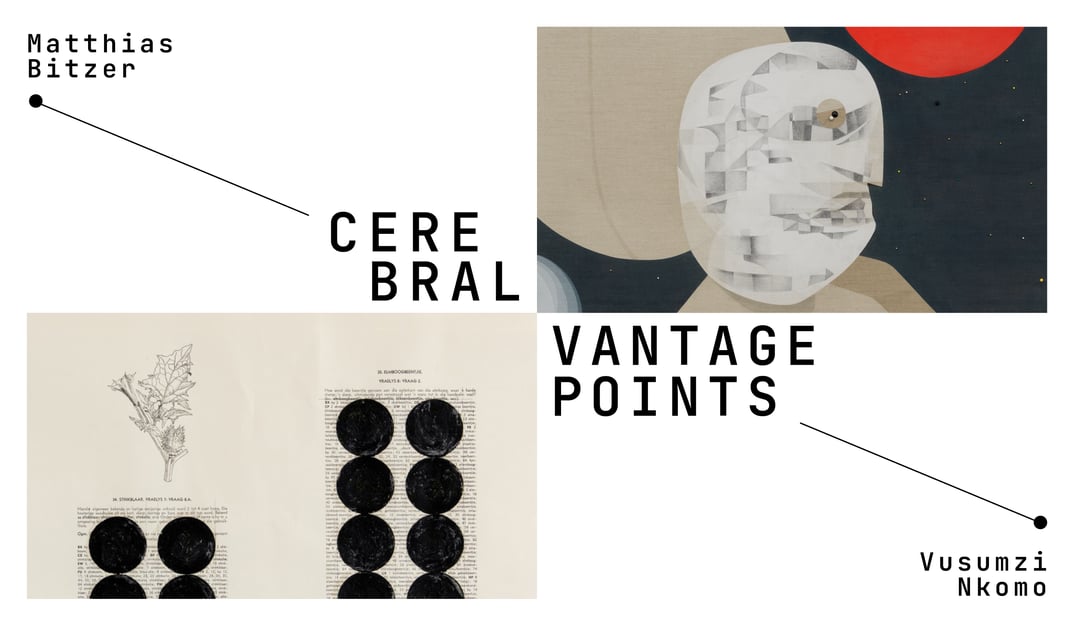 Cerebral Vantage Points