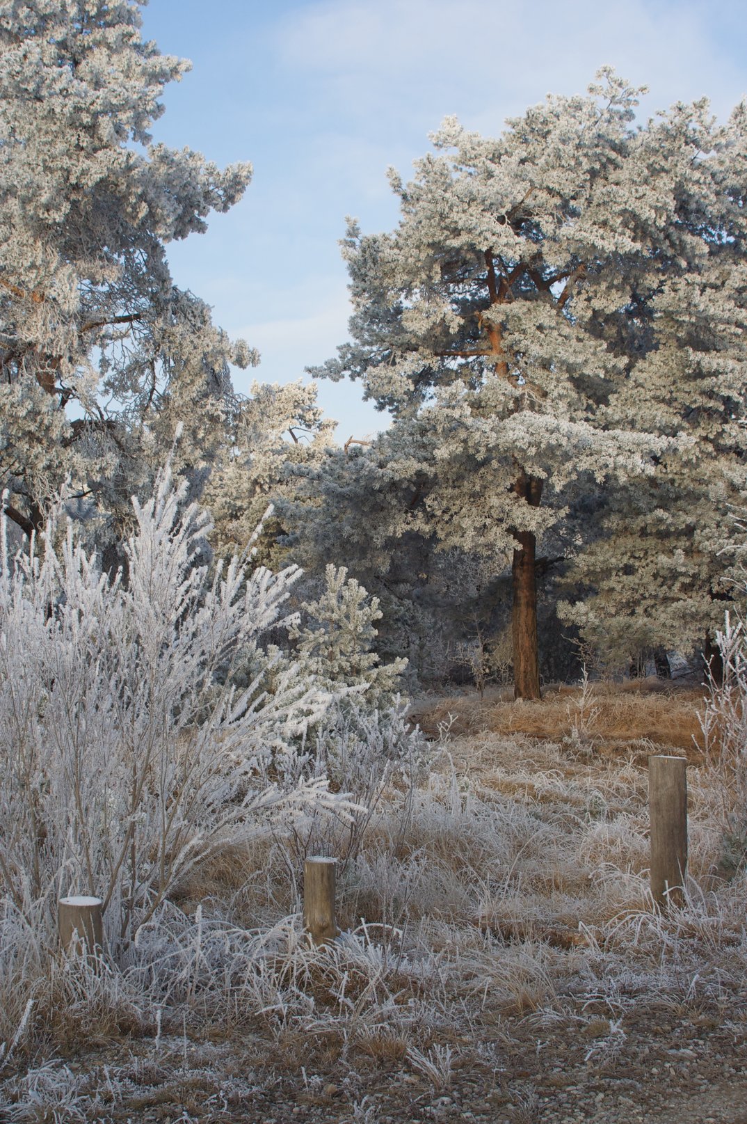 8a6f6f3-031350-5cac49252d7d8375f9d4681e7ef887dd10dd7d87-img-1826stefan-sporrer-stimmungen-die-kraft-von.webp - IN München - Das Stadtmagazin