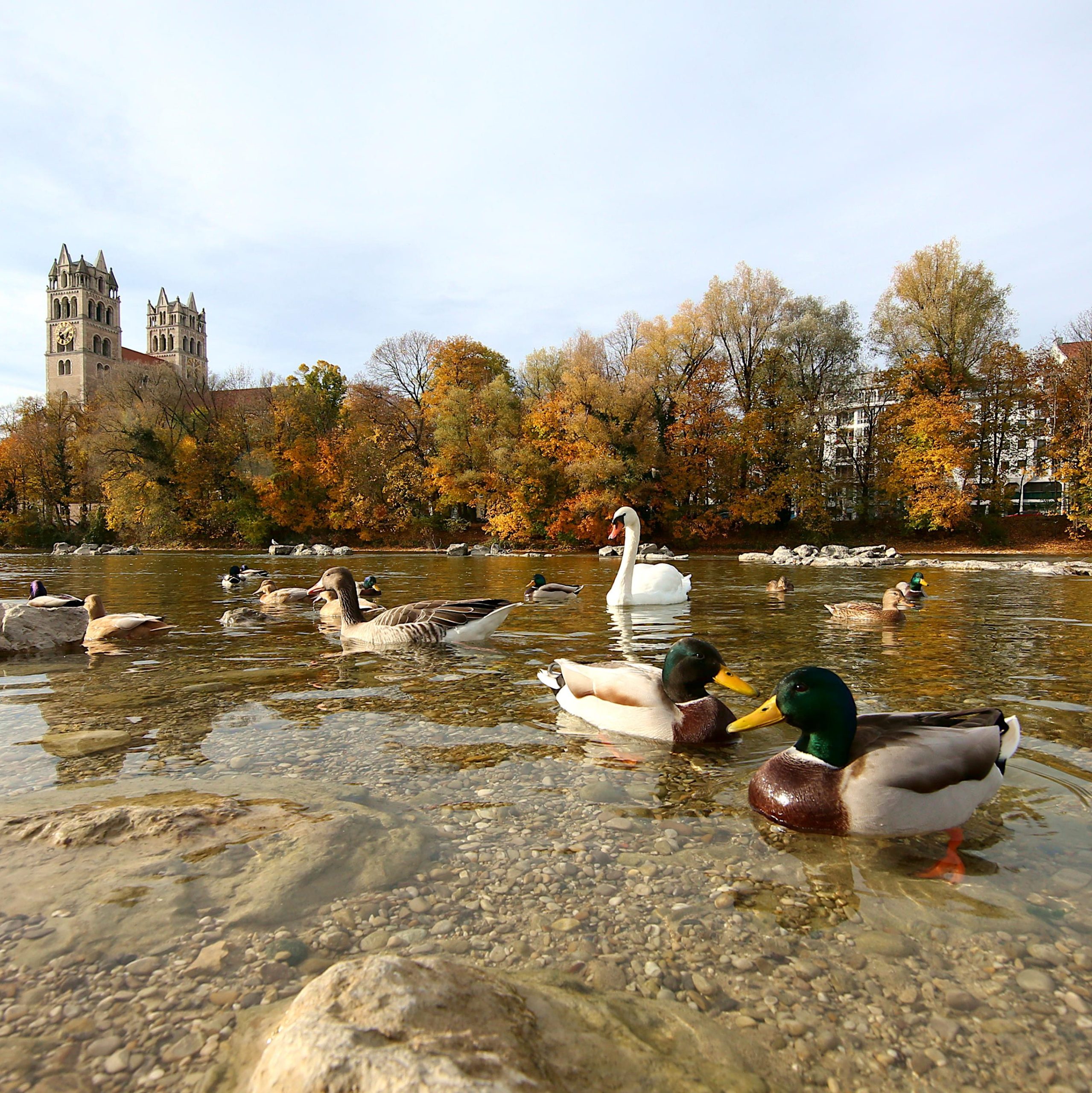 Au-Haidhausen: Isarufer