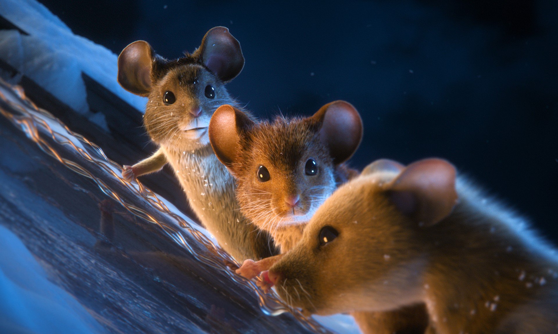 Bilder aus Mission: Mäusejagd - Chaos unterm Weihnachtsbaum