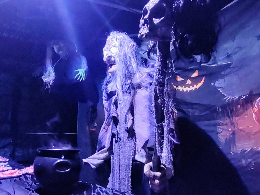 halloween-borntorock-aw - IN München - Das Stadtmagazin Halloween-Deko