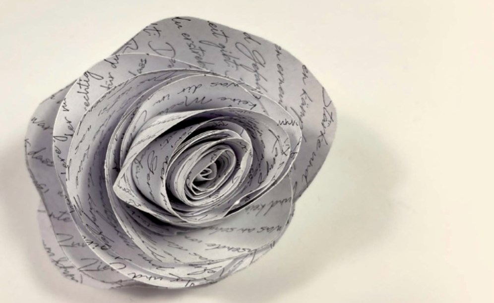 Die weiße Rose: Inspiration für junge Poesie